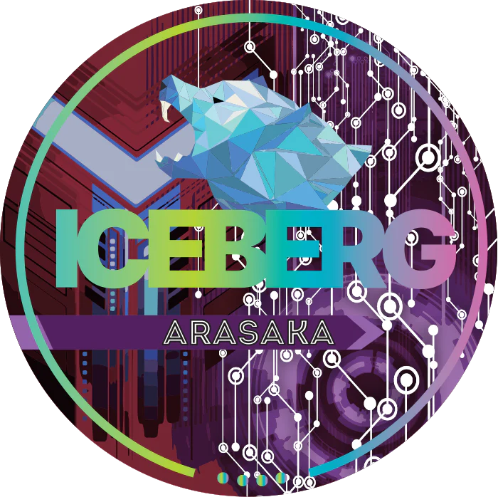 ICEBERG Arasaka Extreme - Image 3